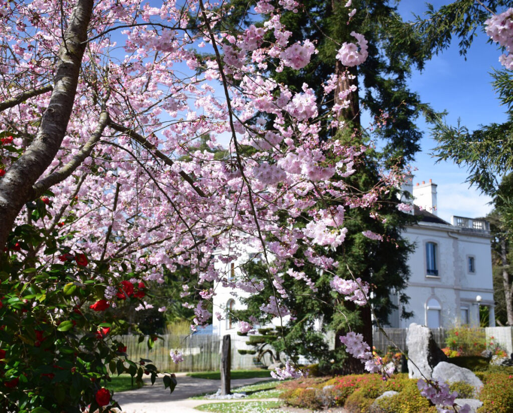 jardin-pau